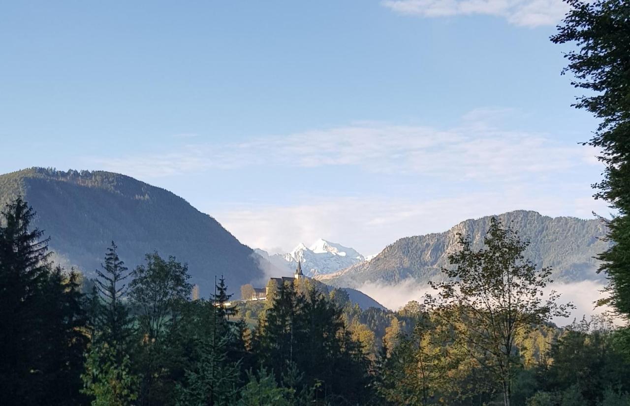 Micheldorf in OberösterreichHof Zur Steinwaend住宿加早餐旅馆 外观 照片