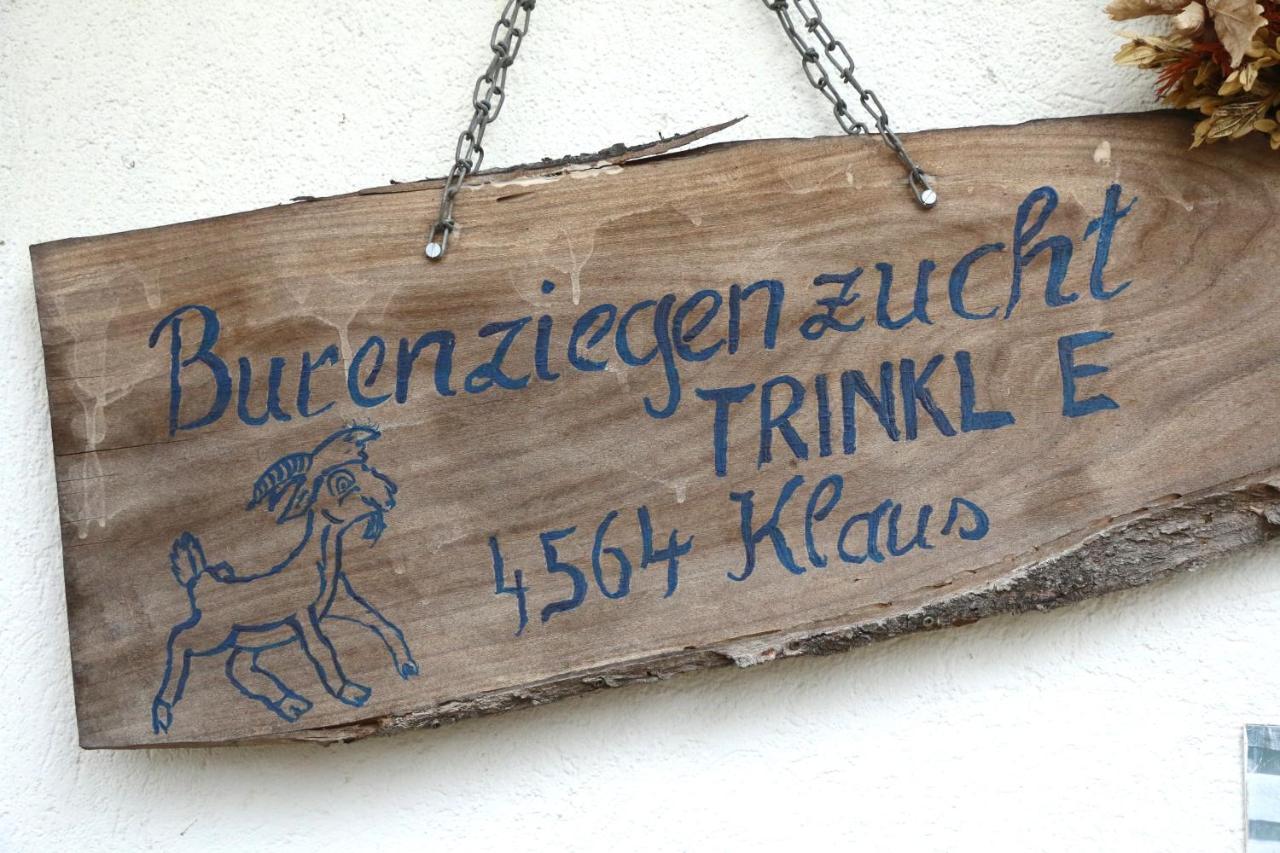 Micheldorf in OberösterreichHof Zur Steinwaend住宿加早餐旅馆 外观 照片