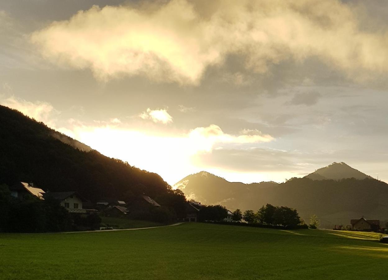 Micheldorf in OberösterreichHof Zur Steinwaend住宿加早餐旅馆 外观 照片