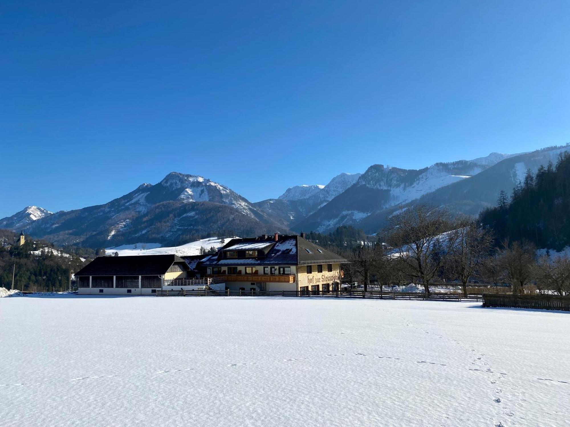Micheldorf in OberösterreichHof Zur Steinwaend住宿加早餐旅馆 外观 照片